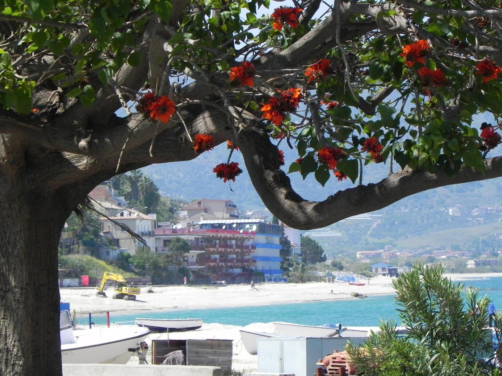 San Domenico Hotel Soverato Marina Εξωτερικό φωτογραφία