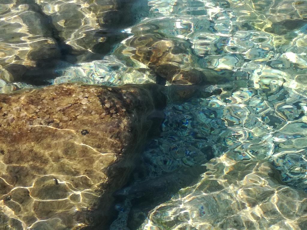 San Domenico Hotel Soverato Marina Εξωτερικό φωτογραφία